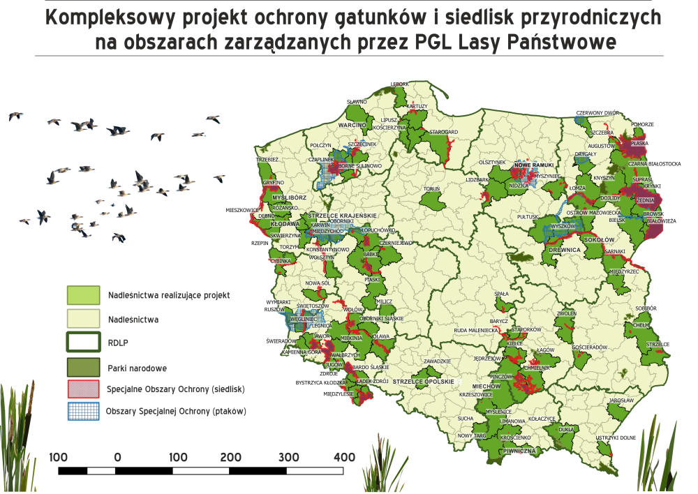 Mapa&#x20;1&#x2e;&#x20;Nadleśnictwa&#x20;biorące&#x20;udział&#x20;w&#x20;projekcie&#x20;oraz&#x20;obszary&#x20;Natura&#x20;2000&#x2c;&#x20;na&#x20;których&#x20;był&#x20;on&#x20;realizowany